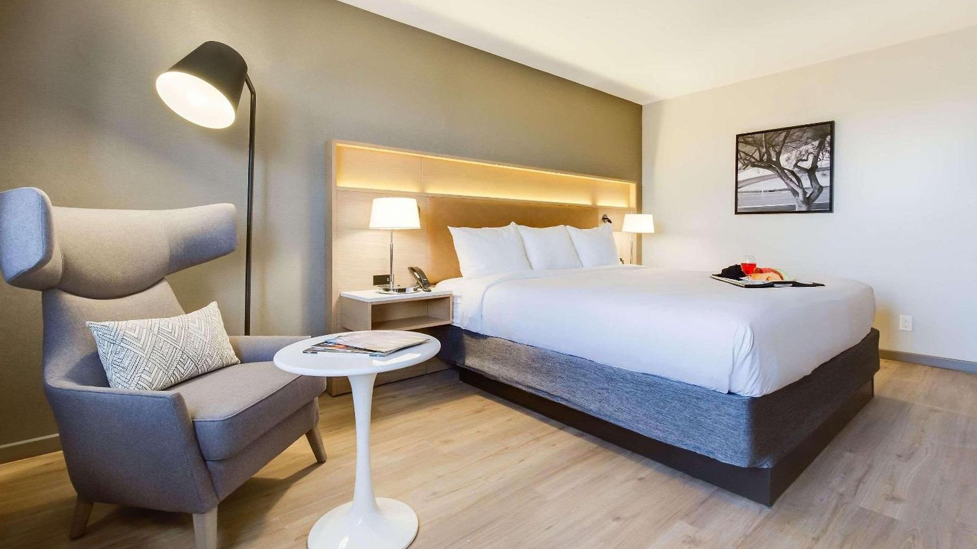 Hotel Radisson Airport 4*