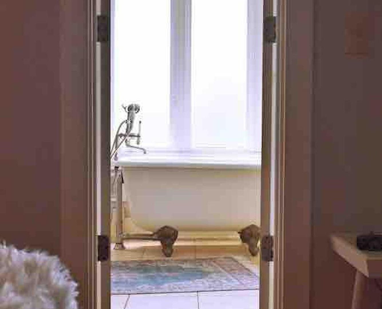 Holiday home House! Hot Tub, Marg Machine, Walk 12south Nashville