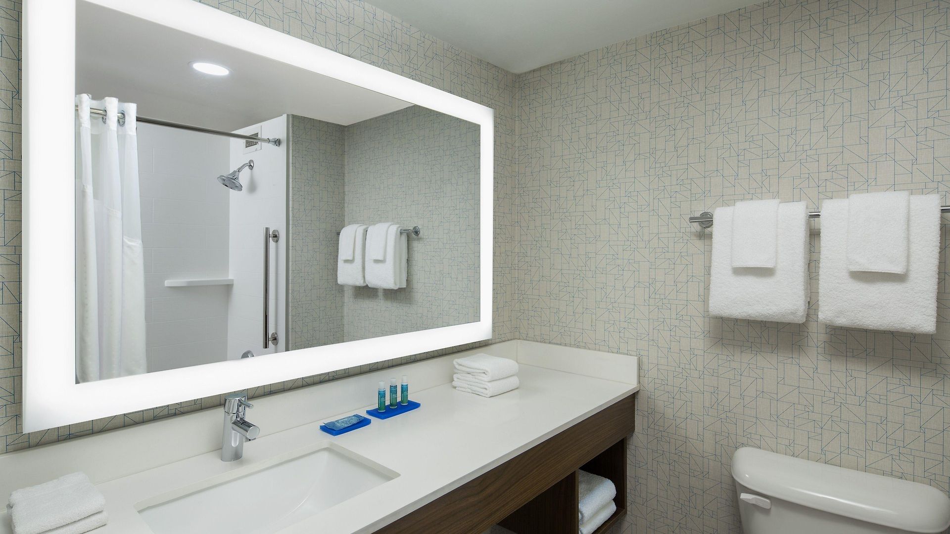 Hotel Express Nashville-downtown - Broadway By Ihg 3*