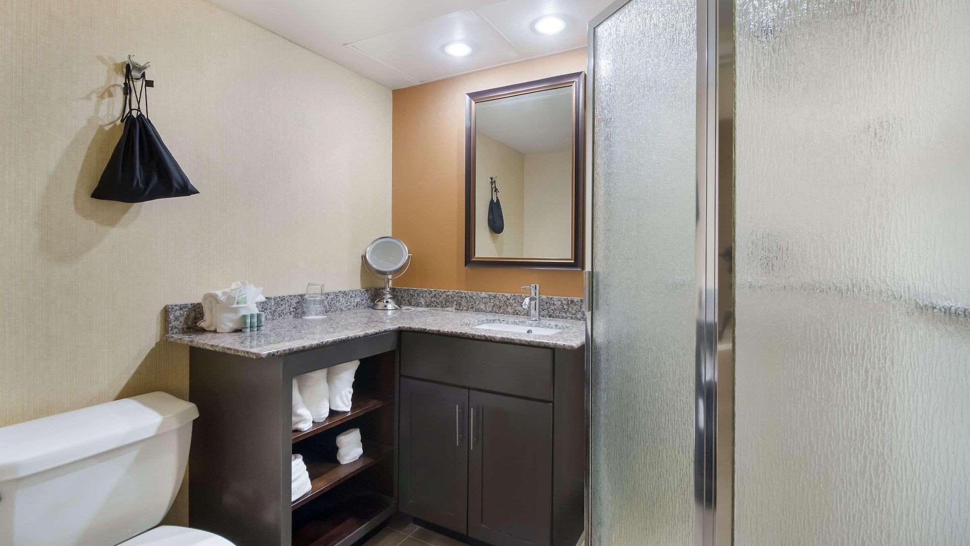Western Near Opryland 3*