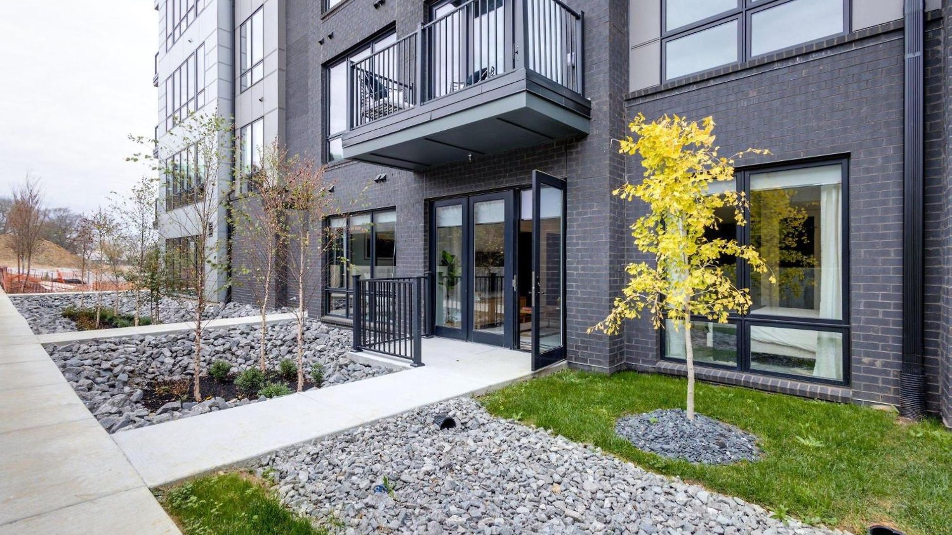 Savanna - Heart Of Midtown - Odyssey At The Park