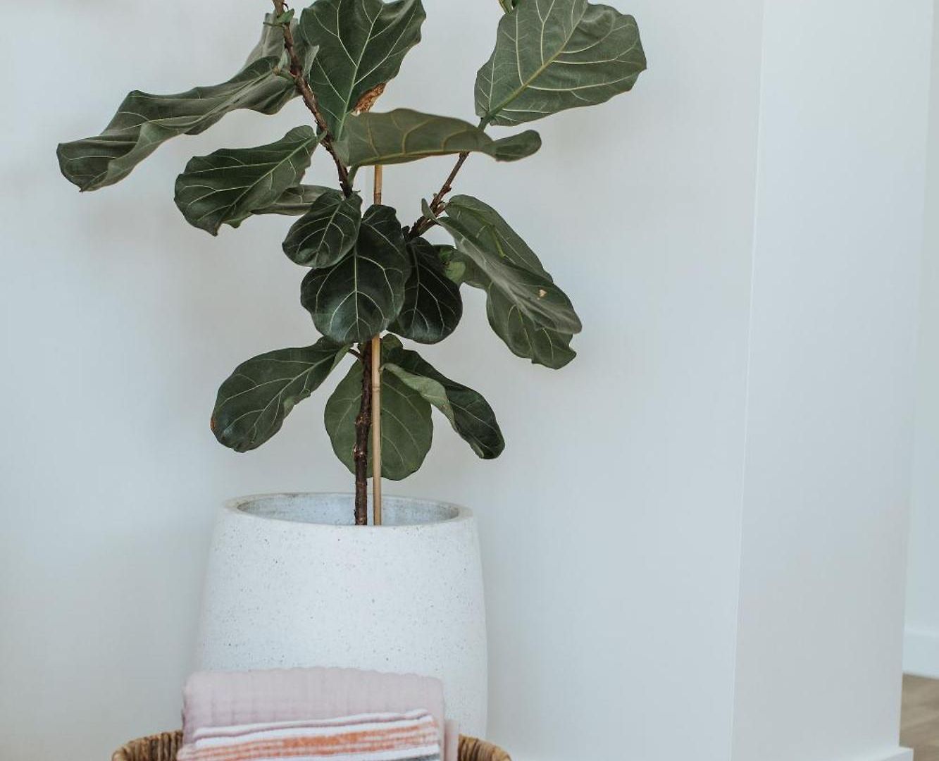 Storybook - Perfect For Couples And Solo Travelers Apartment *