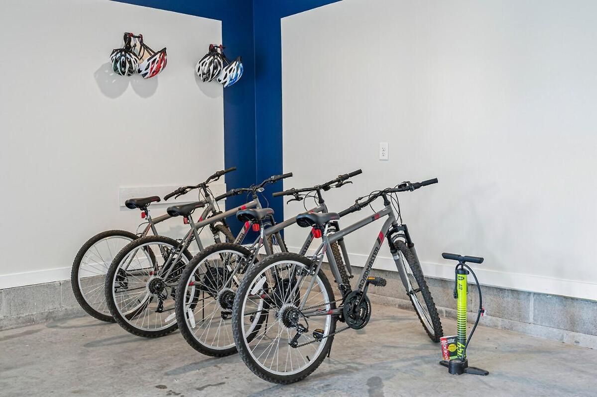 Walk & Bike-stunning Natural Light! 13 Mins To Downtown