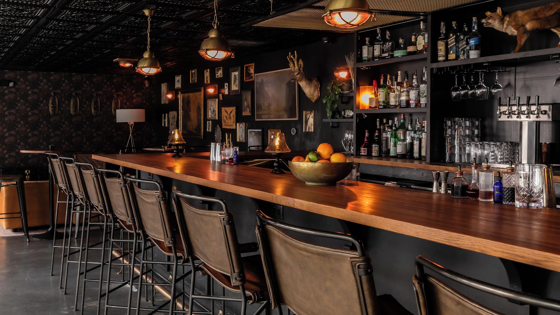 Bode 4* Nashville