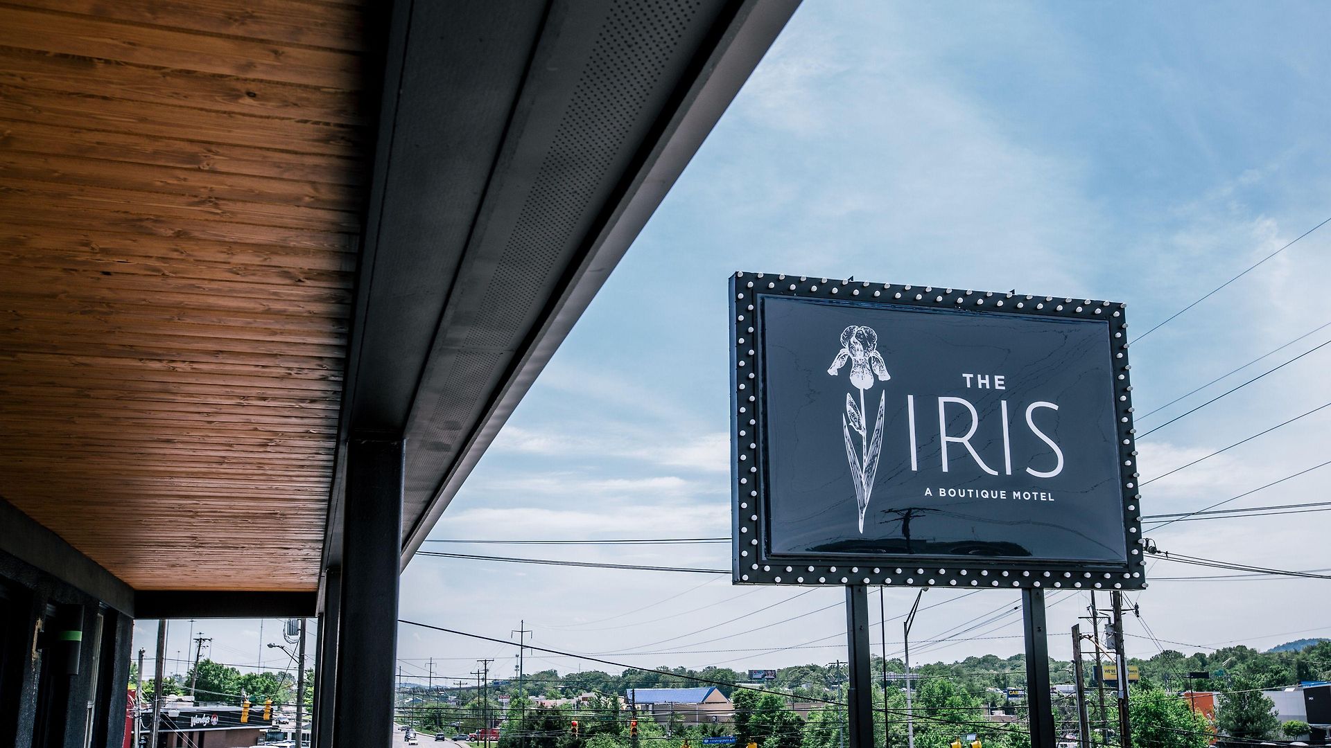 The Iris