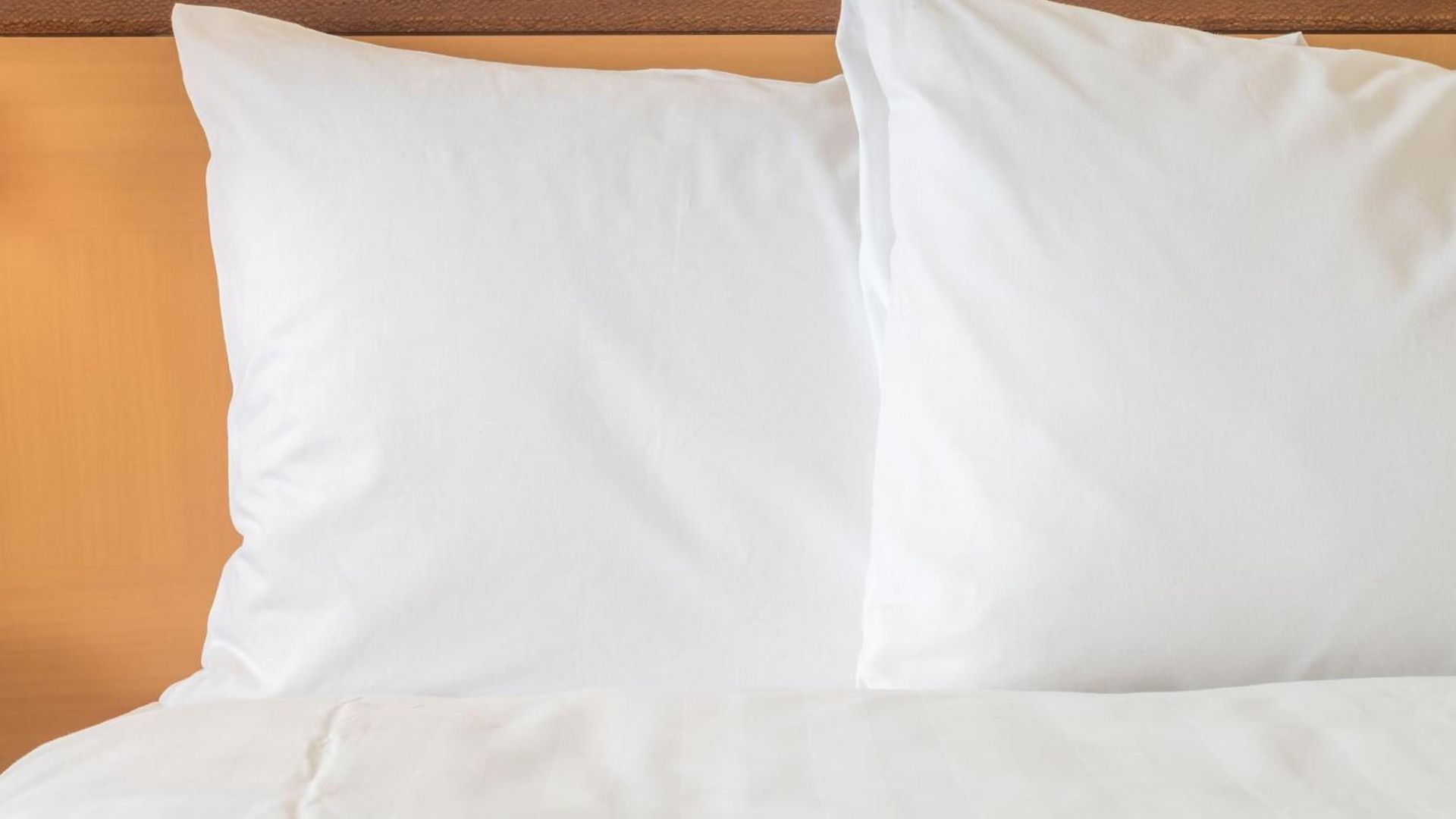 Express Nashville-opryland By Ihg Hotel 3*