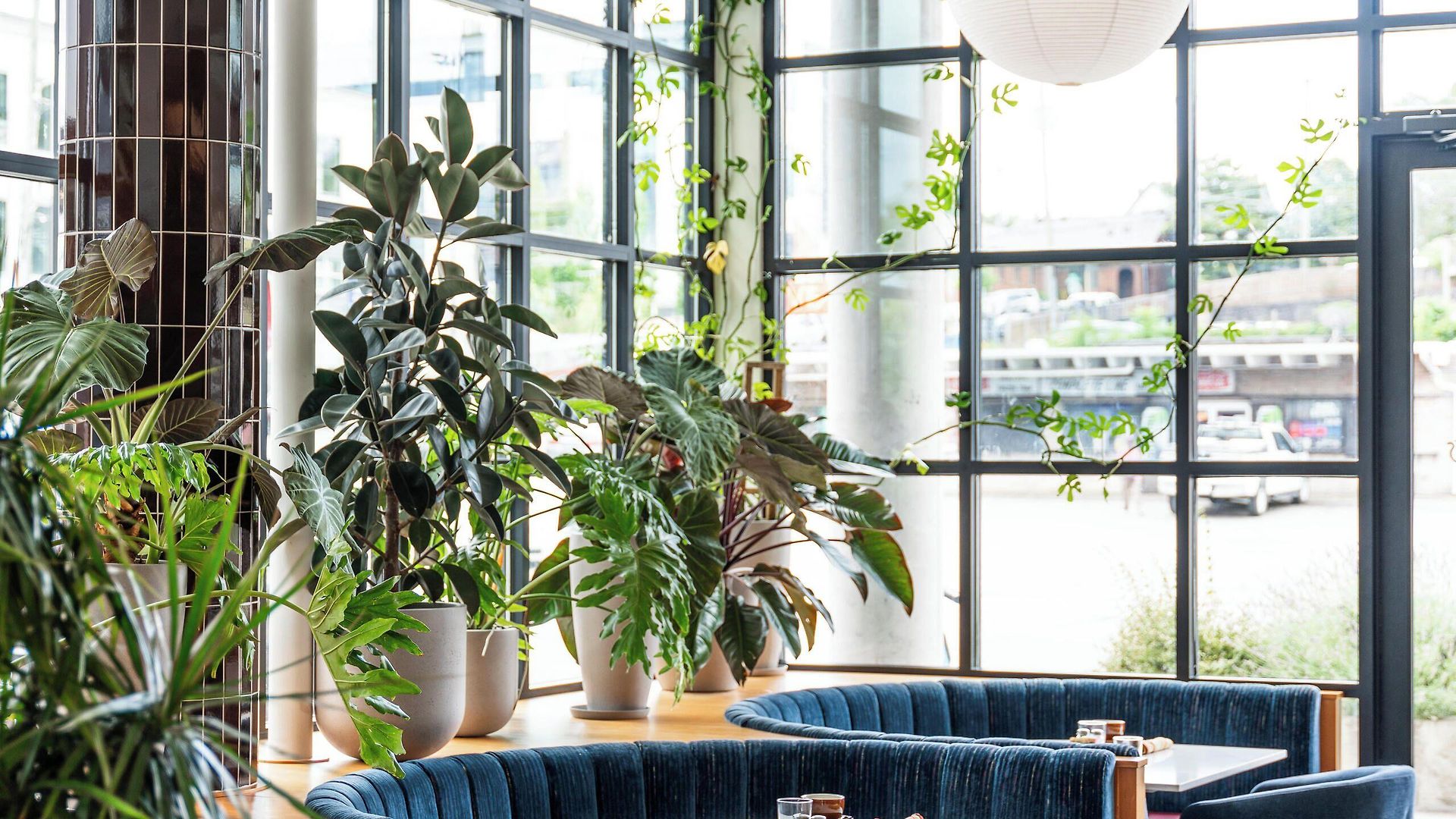 Hotel Waymore's Nashville