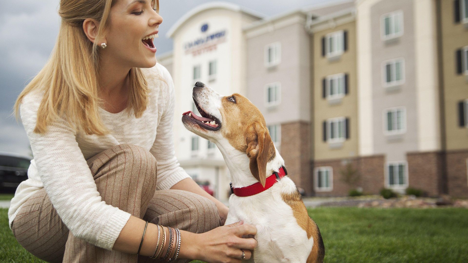 Hotel Candlewood Suites - Nashville Metro Center By Ihg 3*