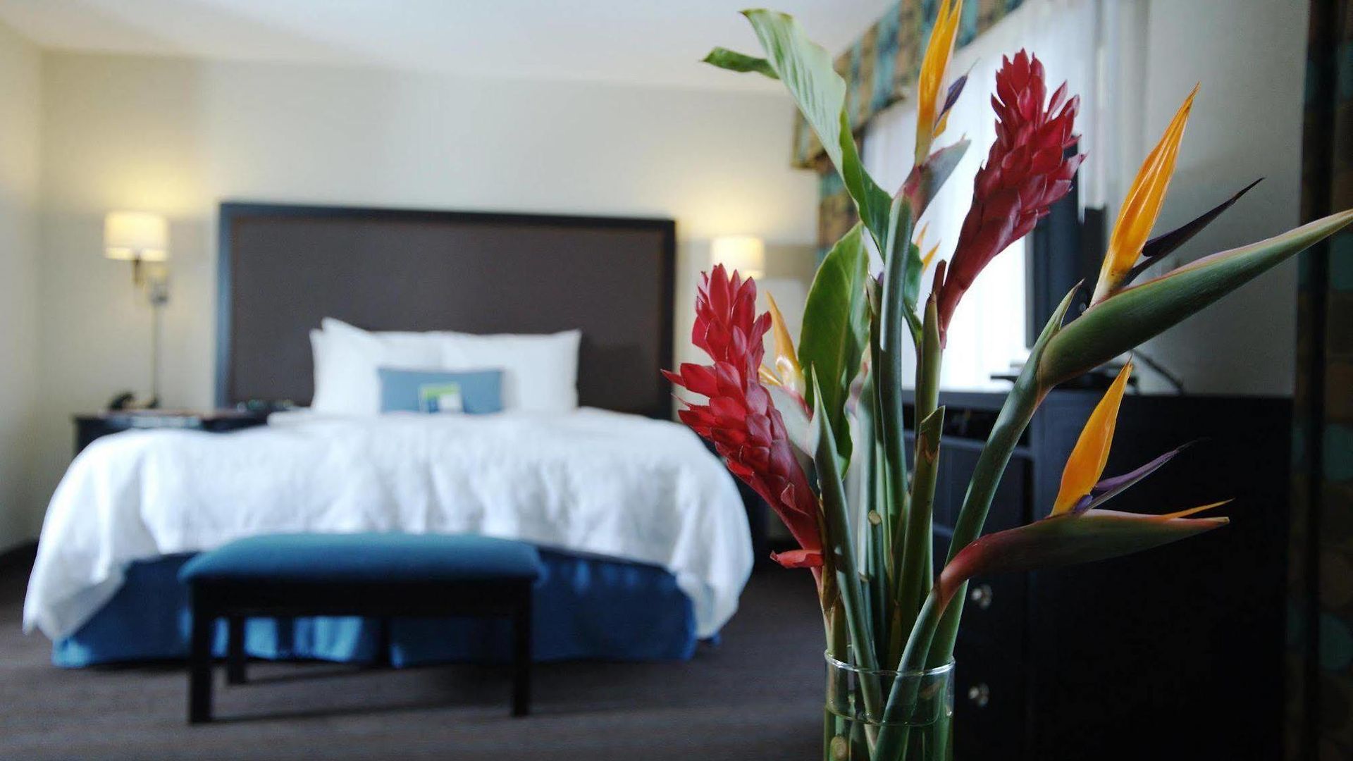 Hampton & Nashville-downtown 3*