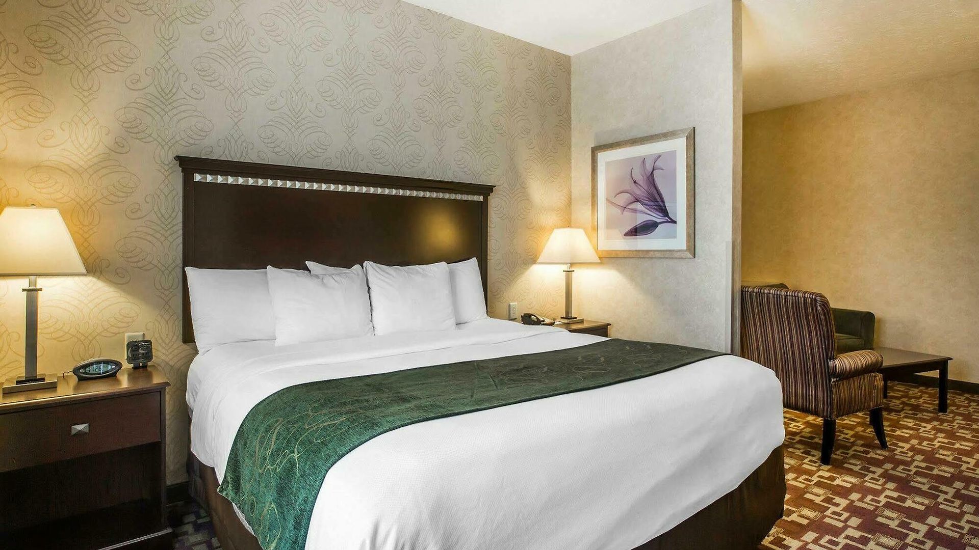 Comfort Near Percy Priest 4* Nashville
