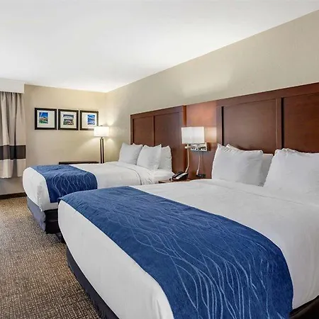 Comfort - Opryland Area Nashville