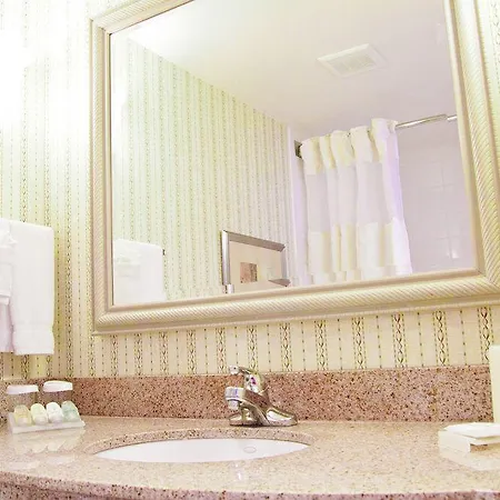 Hilton Garden Airport Hotel Nashville