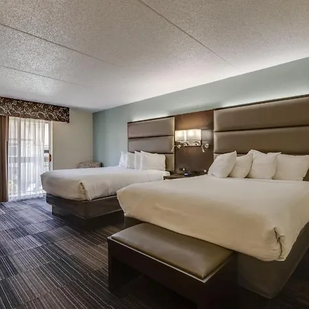 Hotel Club &