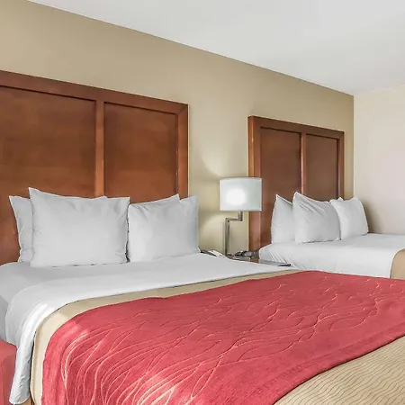 Comfort West