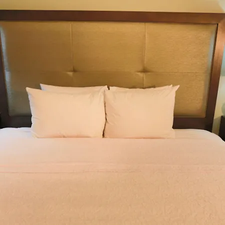 Hotel Hampton & Nashville-airport Nashville