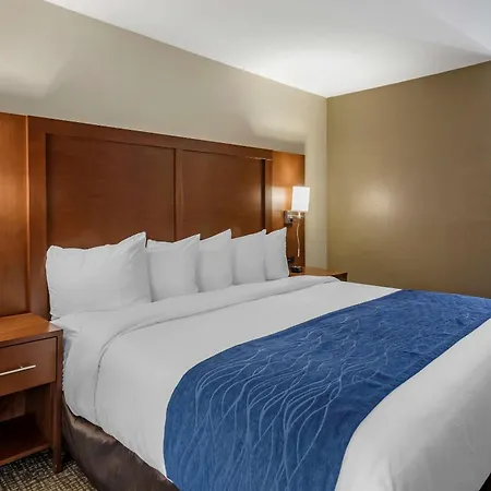 Comfort - Opryland Area Inn Nashville