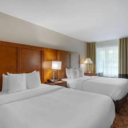 Comfort Downtown - Music Center 4*