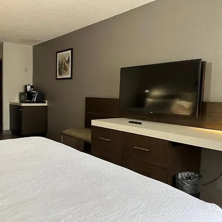 Hilton Garden Airport Hotel 3*