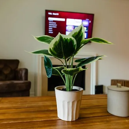 Bright & Cozy 2br Family Sleeps 6 With Private Balcony And Optional Parking Near Centennial Park & Broadway Nashville