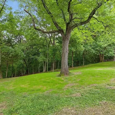 Hillside Hot Tub Hideaway! King Bed / Fire Pit Holiday home Nashville
