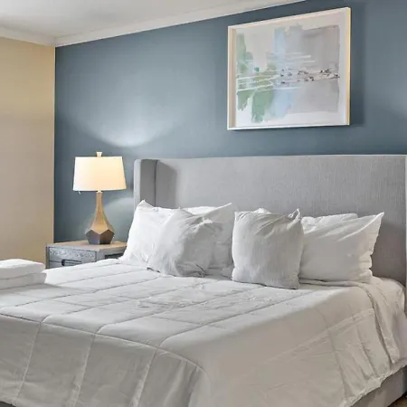 Apartment Landing Modern With Amazing Amenities Nashville