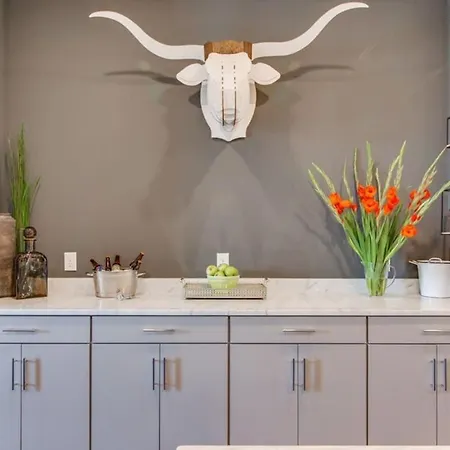 The Dolly - Breezy Rooftop, Iconic Art Retreat