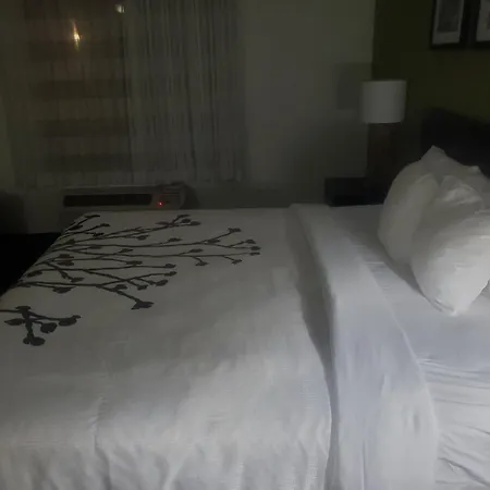 Bed & Breakfast O Daddys *