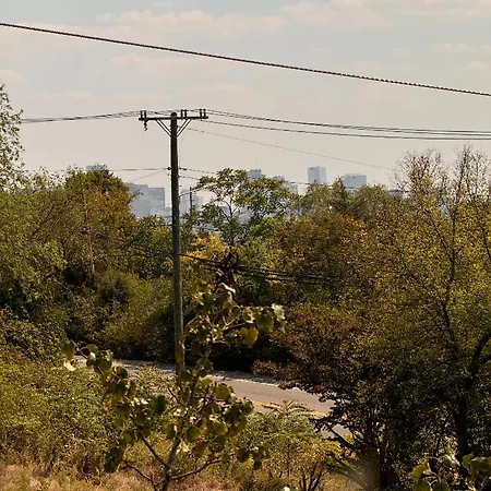 Holiday home Charming 3-bedroom House Scenic&close To Downtown