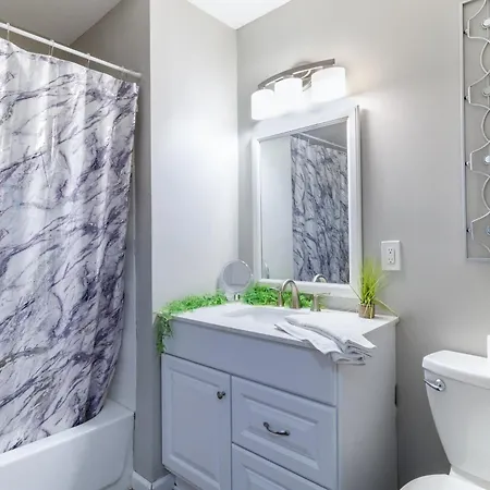 Downtown 1br With Full Kitchen, Pet-friendly Apartment