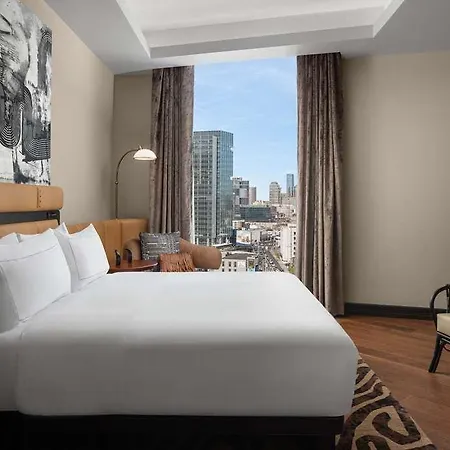 Fraye Curio Collection By Hilton Nashville