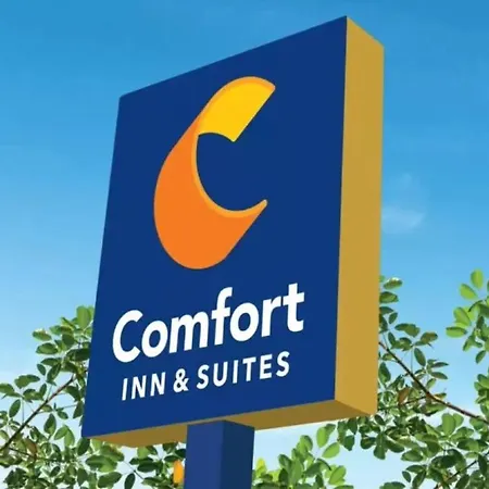 Comfort & Bellevue 4*