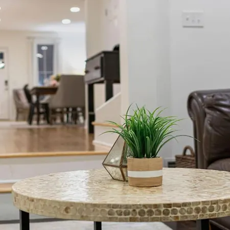 Downtown Luxury House - Beautiful Outdoor Spaces Holiday home Nashville