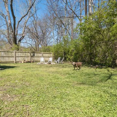 The Titan - Pet Friendly Fire-pit Family Friendly *