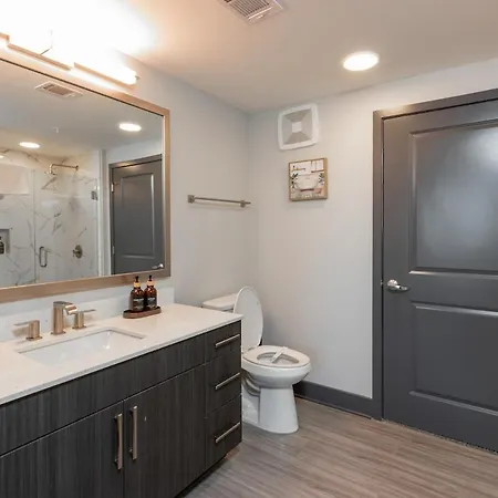 Modern 2Br Near Domain & Tech