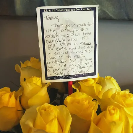 Noteworthy Near Opryland * Nashville