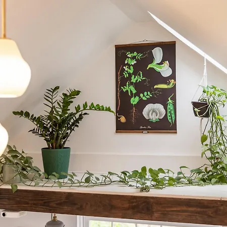 Holiday home Dreamy Tiny House With Hot Tub And Garden Patio Nashville
