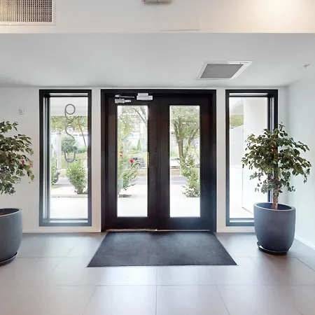 Illume 308