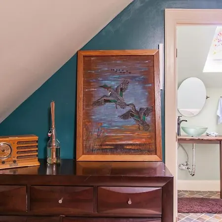Eclectic Pet Friendly In East *