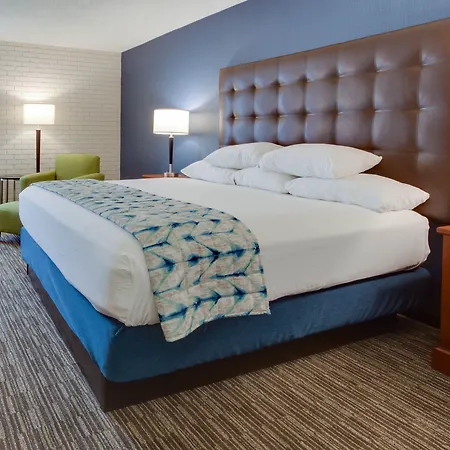 Hotel Drury & Airport 3*