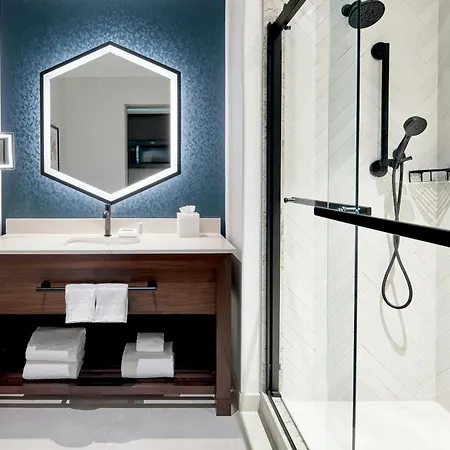 Hotel By Marriott Downtown/convention Center 3*