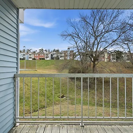 Apartment Comfortable Retreat With In-unit Washerdryer Nashville