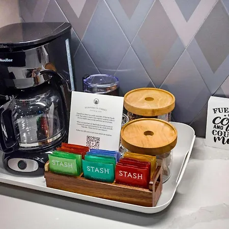 Luxury Gated Duo Sleeps 24 Karaoke & Rooftop Holiday home Nashville