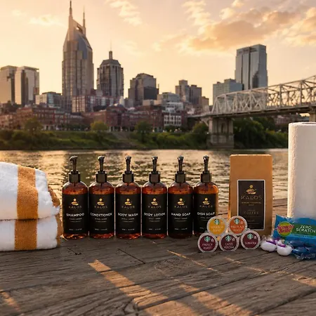 Skyline Views Holiday home Nashville