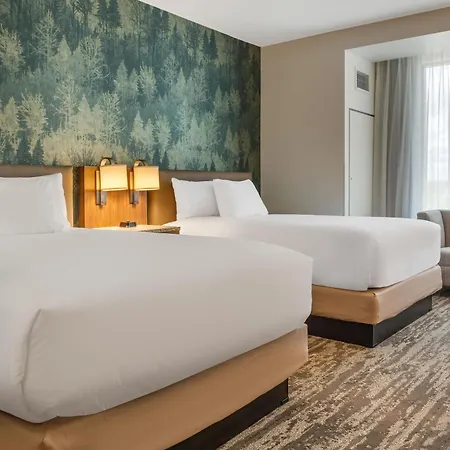 Drury Plaza Southeast Century Farms 3*