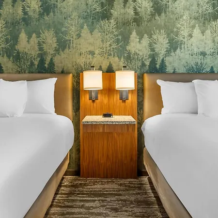 Drury Plaza Southeast Century Farms Hotel Nashville