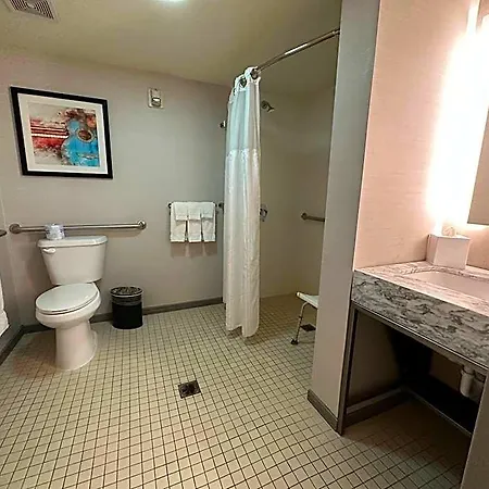Hilton Garden Airport Hotel Nashville