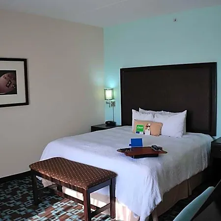 Hampton & At Opryland Hotel 3*