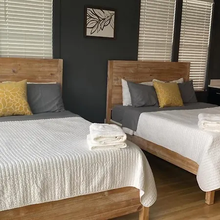 Holiday home Twin Townhomes - 8br Sleeps 24 Near Dt *