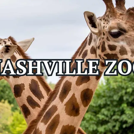Holiday home Verse - Pool & Gym - Mins To Broadway Nashville