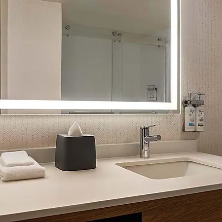 Hotel Downtown - Stadium By Ihg 3*